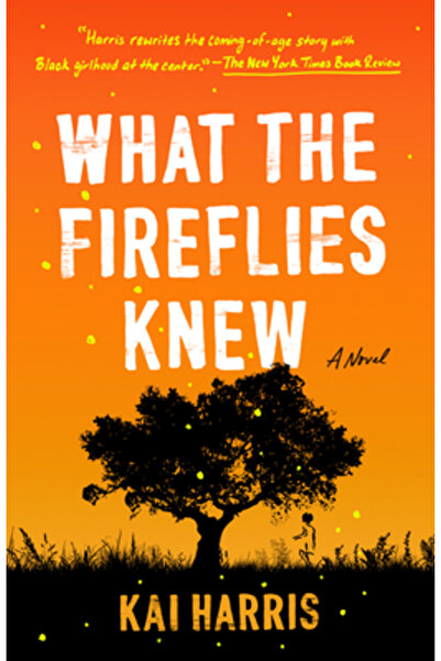 Tiny Reparations Ce știau licuricii