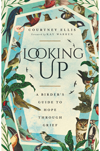 Ivp Privind în sus: Ghidul unui observator de păsări către speranță prin durere