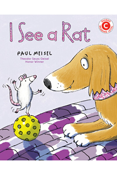 Holiday House Inc Văd un șobolan