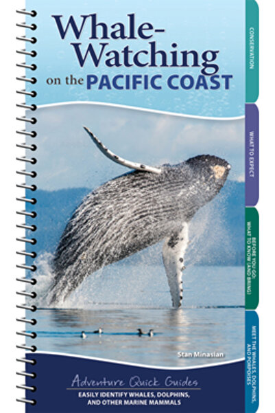 Adventurekeen Observarea balenelor pe coasta Pacificului: Identificați cu ușu...