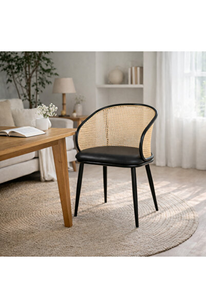 Palma homez Modern design garden chair - black