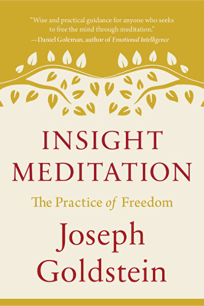 Shambhala Meditația Insight: Practicarea Libertății