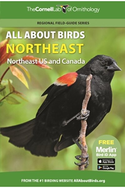 Princeton Univ Pr Totul despre păsări: nord-estul SUA și estul Canadei