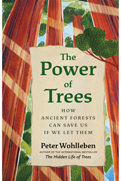 Greystone Books Promisiunea copacilor: Cum învață pădurile străvechi să se ad...