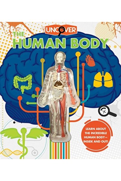 Silver Dolphin Books Descoperă corpul uman