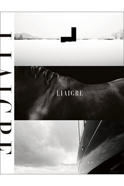 FLAMMARION Liaigre: 12 Proiecte