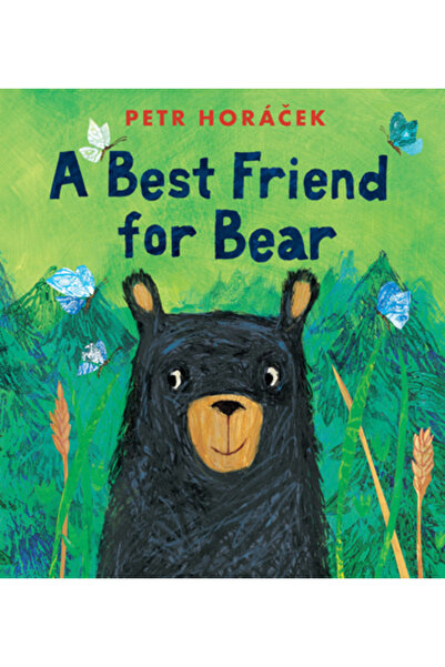 Candlewick Books Cel mai bun prieten pentru urs