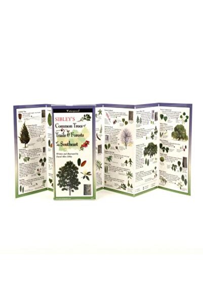 Univ Of Pennsylvania Pr Copacii lui Sibley despre poteci și păduri din sud-est