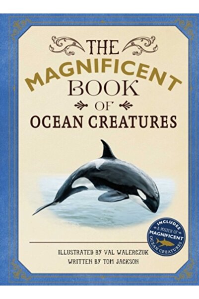 Silver Dolphin Books The Magnificent Book of Ocean Creatures