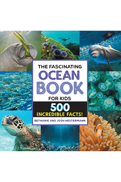 Rockridge Pr Cartea fascinantă despre ocean pentru copii: 500 de fapte incred...