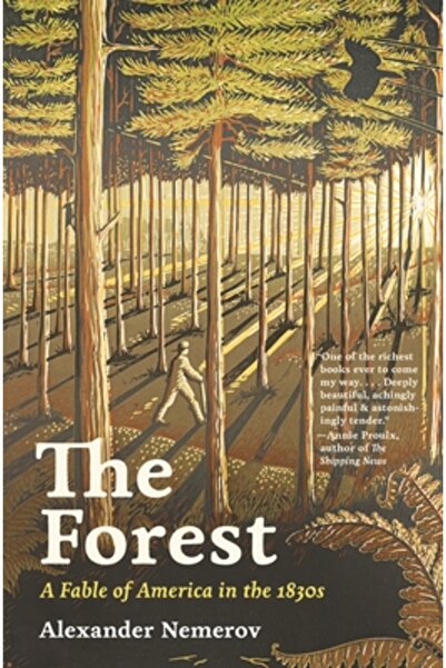 Princeton Univ Pr The Forest: A Fable of America in the 1830s