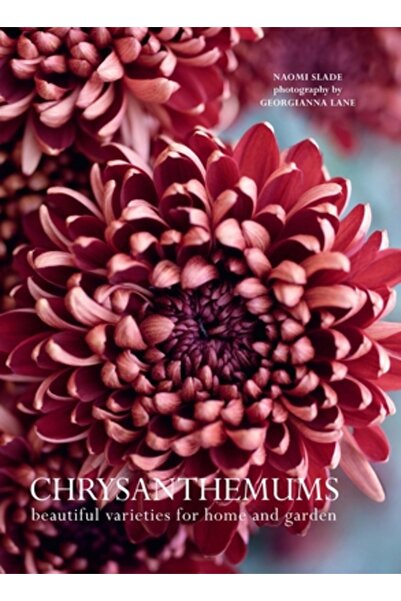Gibbs Smith Pub Chrysanthemums: Beautiful Varieties for Home and Garden