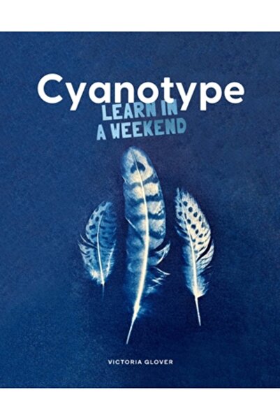 Skittledog Cianotip: Învață într-un weekend