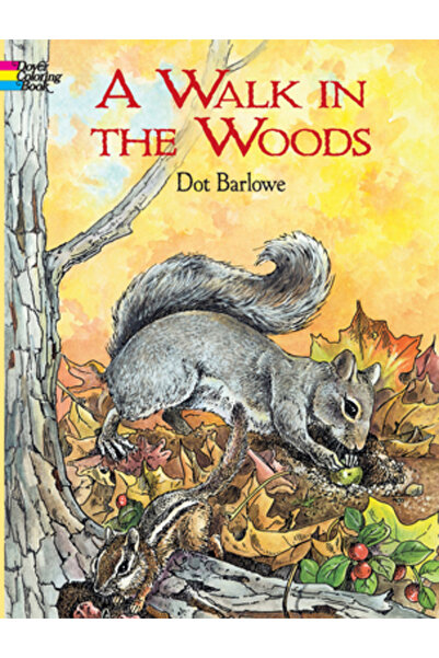 Dover Publications Carte de colorat O plimbare în pădure