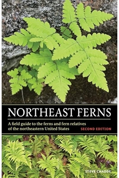 INDEPENDENT CAT Ferigi de Nord-Est: Un ghid de teren pentru ferigi și rudele ...