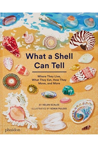 Phaidon Pr Inc Ce poate spune o cochilie