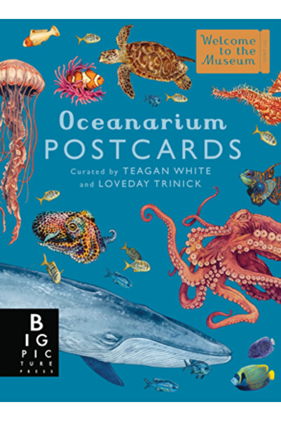 Big Picture Pr Set cutie cu cărți poștale Oceanarium