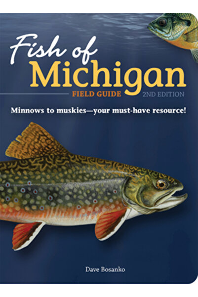 Adventurekeen Ghid de teren pentru peștii din Michigan