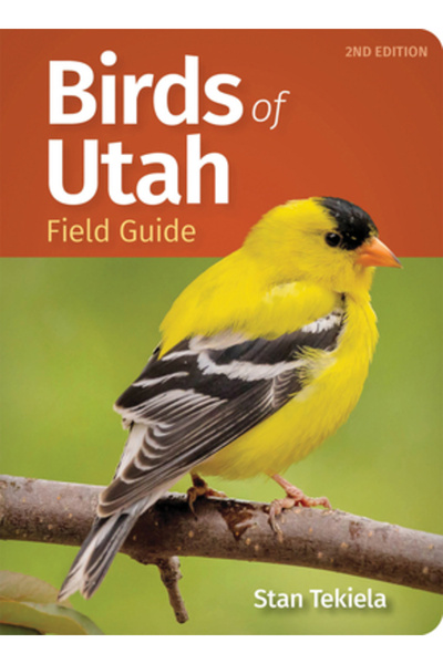 Adventurekeen Ghid de teren pentru păsările din Utah