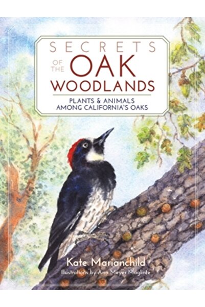 BIBLIOBAZAAR Secretele pădurilor de stejari: plante și animale printre stejar...