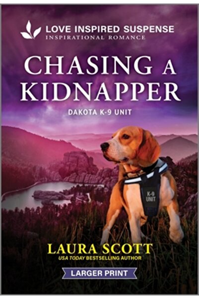 Hqn Books Urmărirea unui răpitor