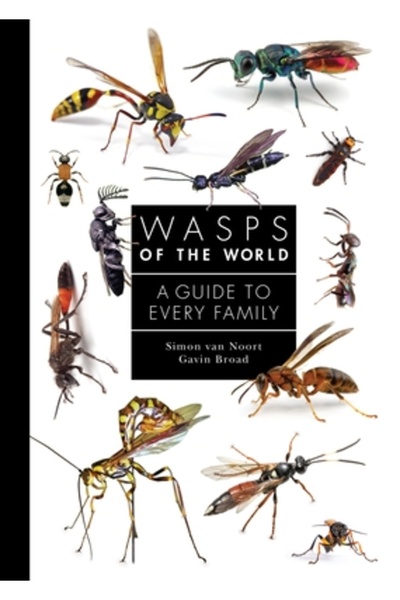 Princeton Univ Pr Viespile lumii: Un ghid pentru fiecare familie