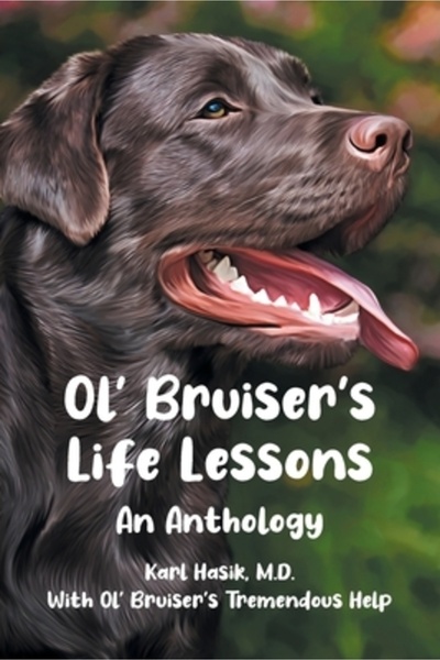 Page Pub Lecțiile de viață ale lui Old Bruiser: o antologie