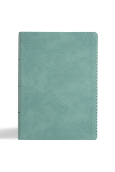 Holman Bibles Biblia NASB pentru notițe, ediție cu caractere mari, culoarea p...