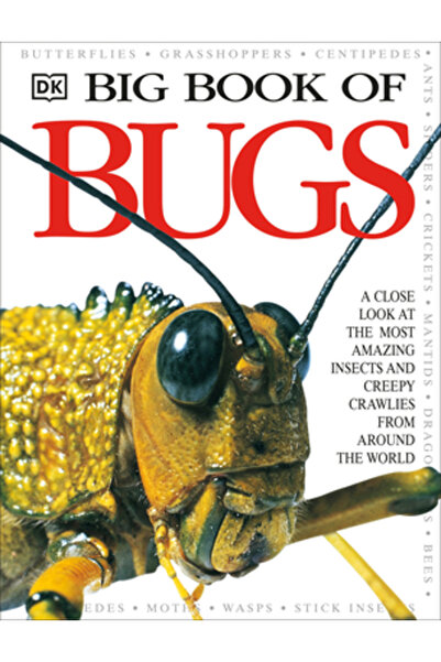 DK Publishing (Dorling Kindersley) Marea Carte a Insectelor