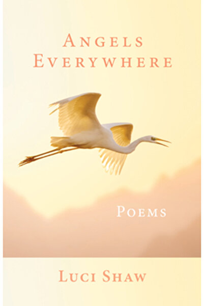 Paraclete Pr Îngeri de pretutindeni: Poezii