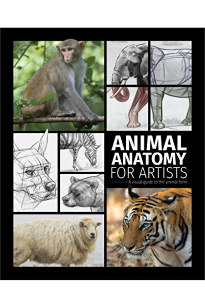 3D Total Pub Anatomia animalelor pentru artiști: Un ghid vizual pentru forma ...