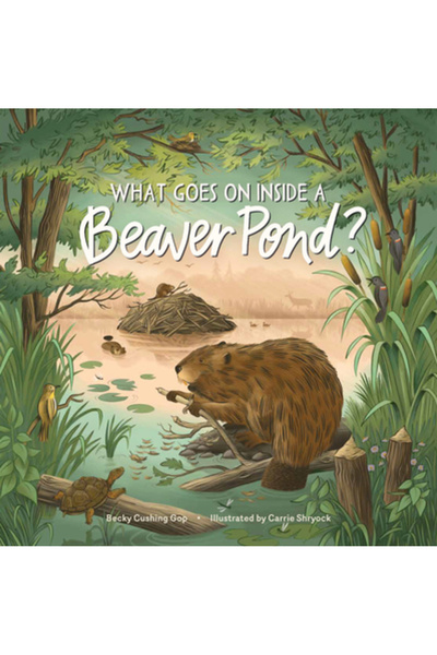 Storey Pub Ce se întâmplă într-un iaz cu castori?