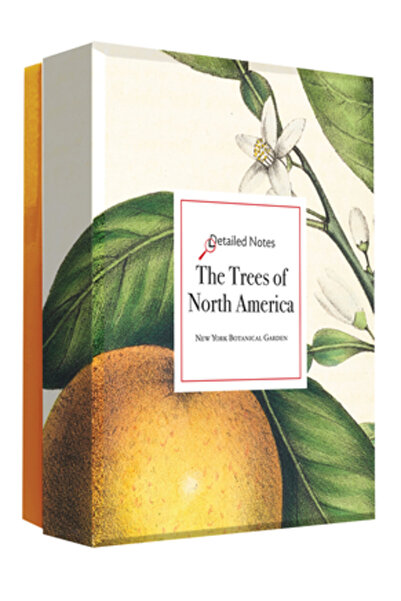 Abbeville Pr Copacii din America de Nord: O cutie cu notițe detaliate