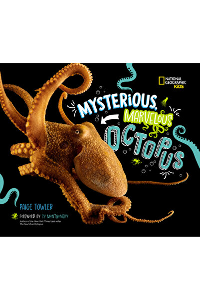 Natl Geographic Soc Caracatiță misterioasă și minunată!