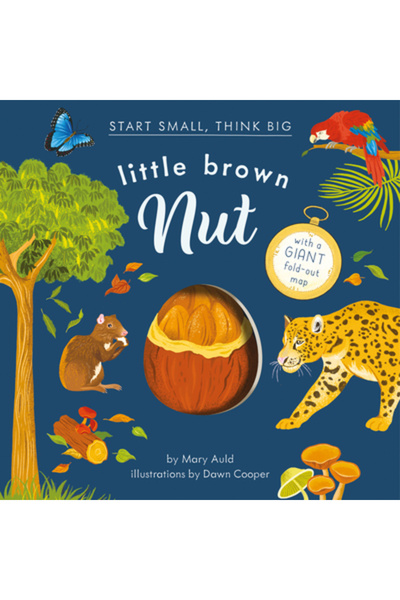 Red Comet Pr Nucă mică maro