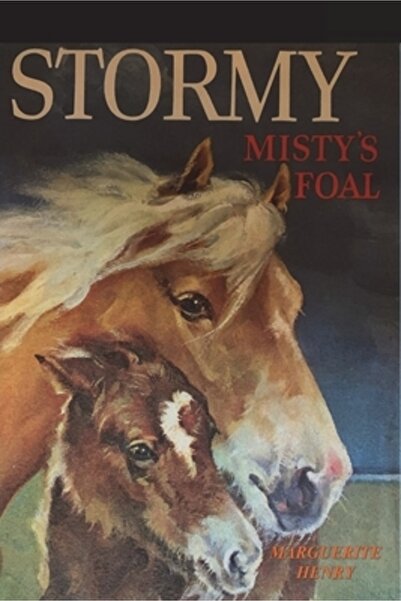 Important Books Stormy, mânzul lui Misty