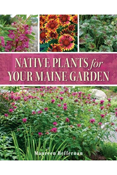 Down East Books Plante native pentru grădina ta din Maine
