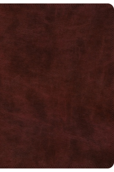Crossway Books Biblia ESV cu imprimeu gigantic (Trutone, Burgundia)