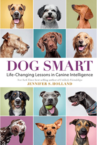 Natl Geographic Soc Inteligenta canină: Lecții care îți schimbă viața despre ...