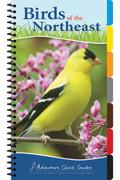 Univ Of California Pr Ghid rapid pentru păsările din nord-est