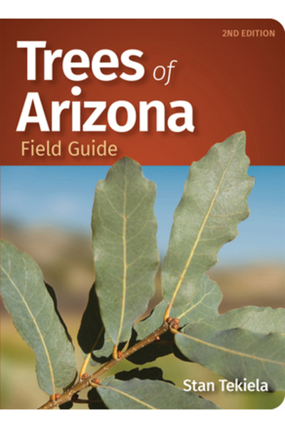 Adventurekeen Ghid de teren pentru copacii din Arizona