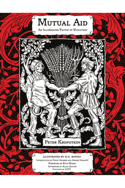 Pm Pr Ajutorul reciproc: un factor revelator al evoluției