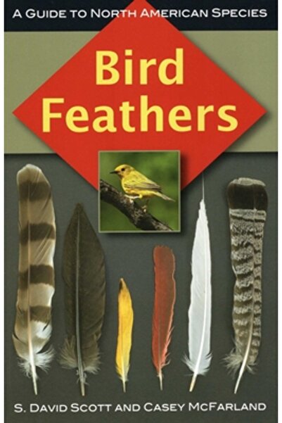 Stackpole Books Pene de păsări: Un ghid pentru speciile nord-americane