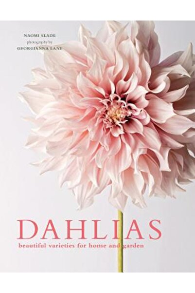 Gibbs Smith Pub Dahlias: Beautiful Varieties for Home & Garden