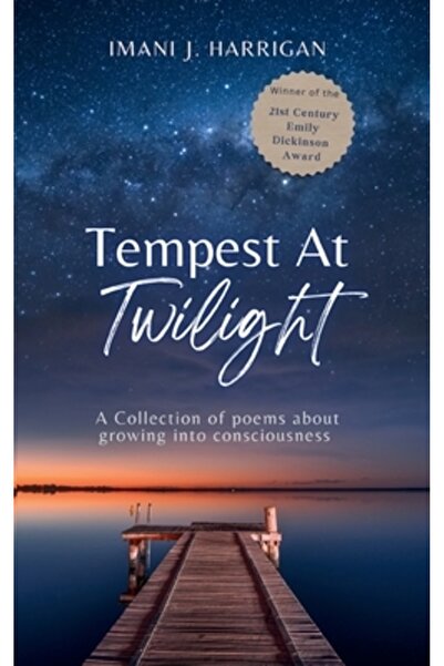 Bookleaf Pub Furtună la amurg