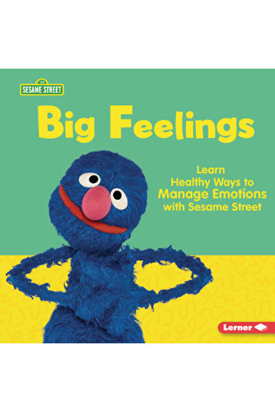 Lerner Pubn Sentimente profunde: Învață metode sănătoase de a gestiona emoții...