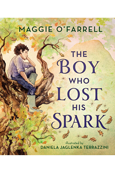 Walker Books US Băiatul care și-a pierdut scânteia