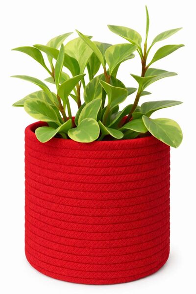 MaVaux Dekoratif Jüt Saplı Hasır Sepet Saksı 20cm X 20 Cm, Jüt Bej Saksılık, ...