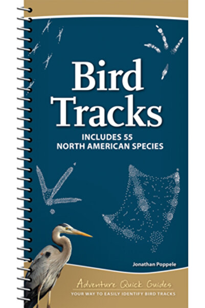 Adventurekeen Urme de păsări: Identificați cu ușurință 55 de specii comune di...