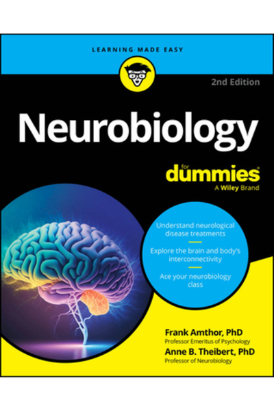 For Dummies Neurobiologie